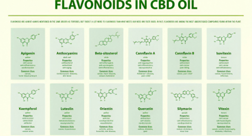 Flavonoidi e Composti Fenolici: Ruoli Fisiologici, Benefici per la Salute e Potenziale Medico